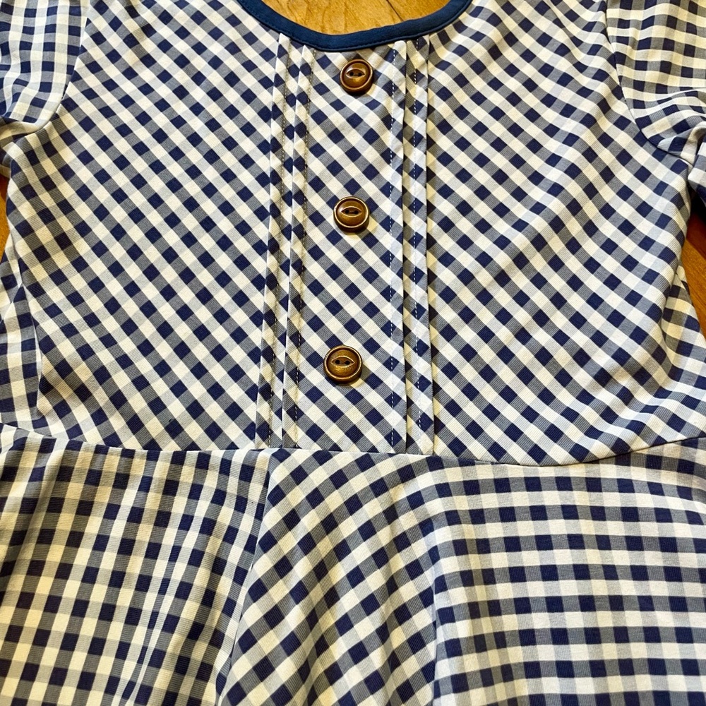 Serendipity Blue Gingham Dress - Picture 2 of 6